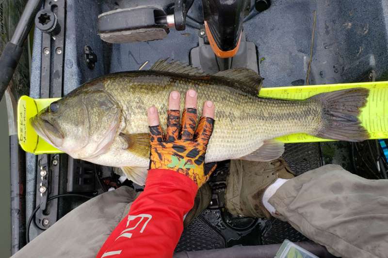 Attached picture big bass print.jpg